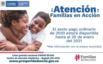 Son en total 41.781 de