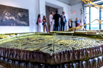 La galería colombiana La Cometa