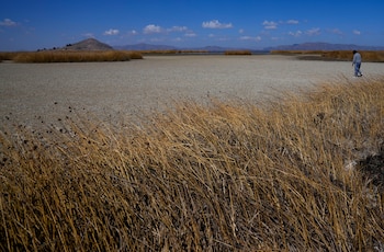 El bajo nivel del agua