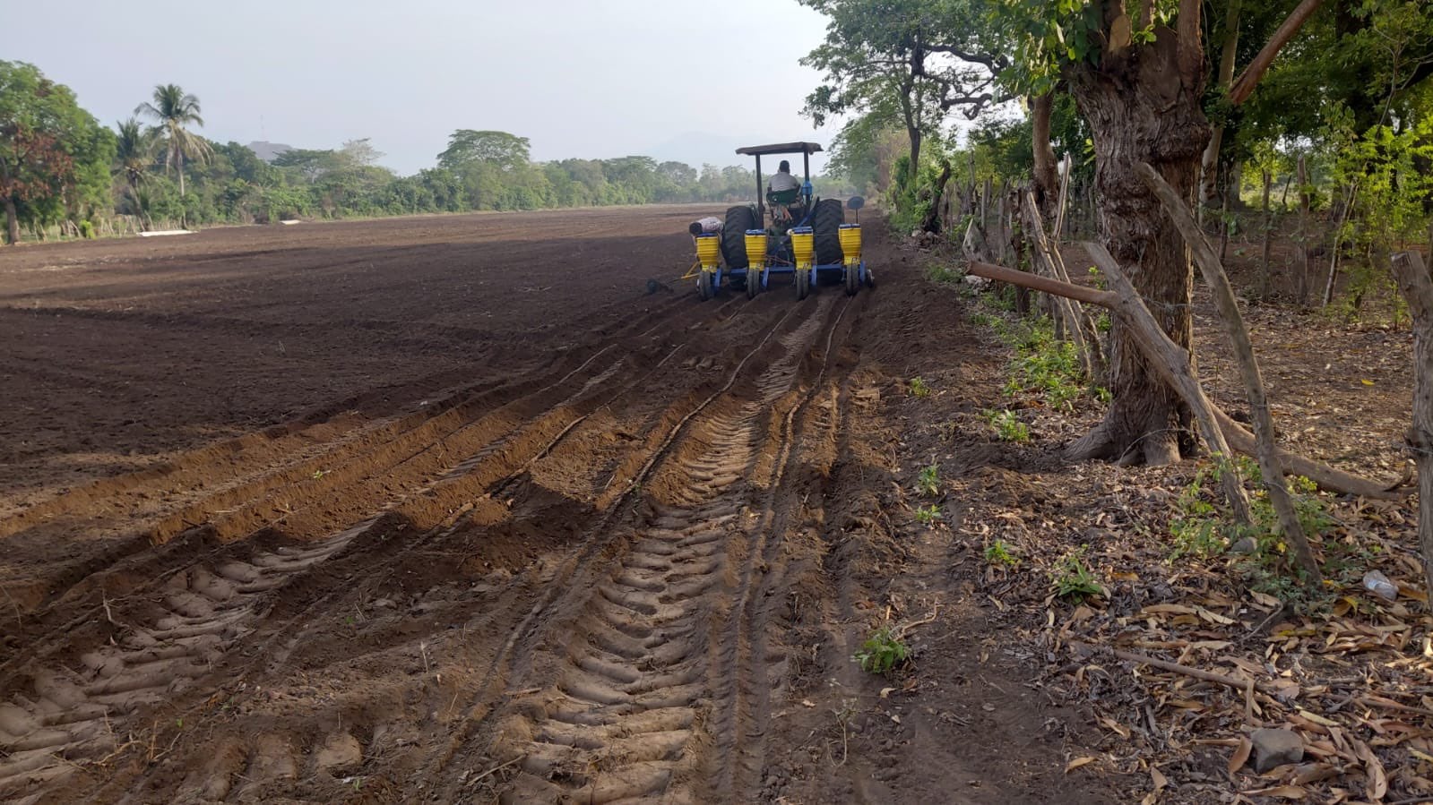El plan agrícola de El Salvador incluye perforación de pozos, instalación de sistemas de riego y distribución de insumos agrícolas clave. (Cortesía: Viceministro Ad-Honorem del MAG Óscar Domínguez)