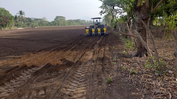 El plan agrícola de El Salvador incluye perforación de pozos, instalación de sistemas de riego y distribución de insumos agrícolas clave. (Cortesía: Viceministro Ad-Honorem del MAG Óscar Domínguez)
