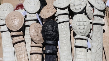 Decomisaron 570 pieles de fauna