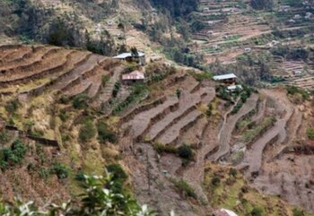 El lema de la edición