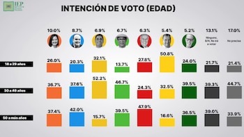 Electorado joven y adulto muestran preferencias opuestas en reciente encuesta previa a las elecciones 2026. (Foto: IEP)