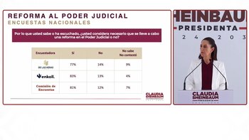 Resultados al cuestionamiento sobre si