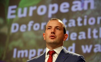 Virginijus Sinkevicius. EFE/EPA/OLIVIER HOSLET