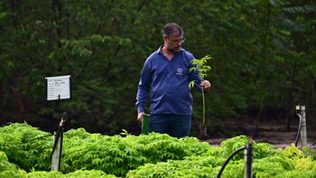 Severino Ribeiro, biólogo de Mombak,