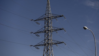 Expertos europeos ratifican que el