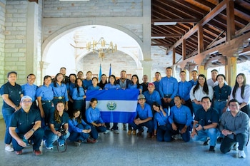 La política de profesionalización de