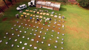 La marihuana secuestrada