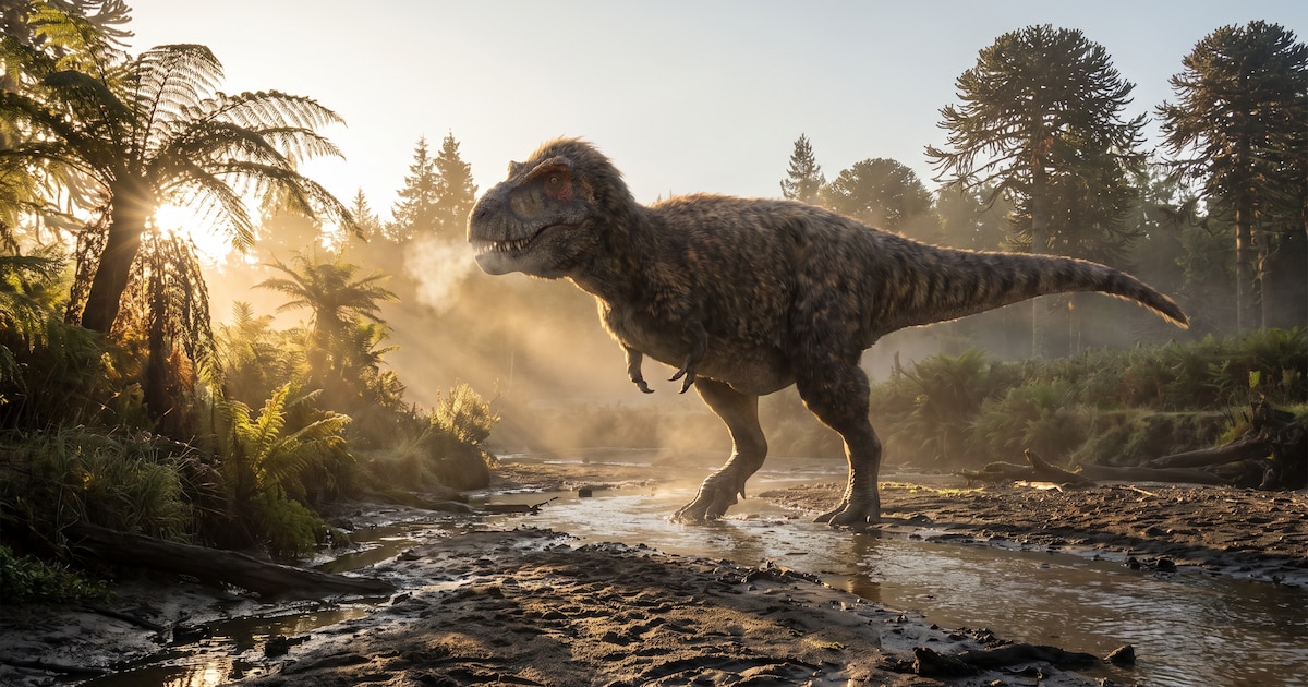 Photo : infobae.com T. rex : une étude confirme son métabolisme à sang chaud