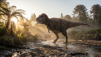 El secreto de los dientes de los T. rex: un hallazgo brinda pistas sobre su temperatura corporal