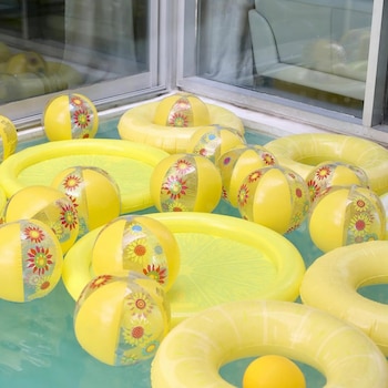 La pileta de la casa