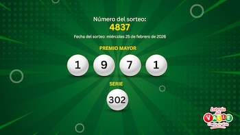 Descubra quais são os números