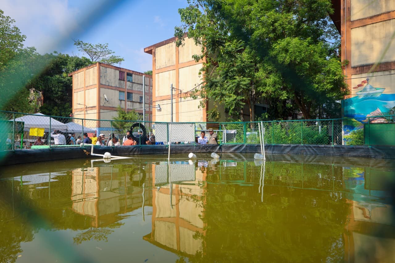 La FAO El Salvador acompañó la inauguración del cultivo de tilapia, impulsando la diversificación y autosostenibilidad en la colonia IVU. (Cortesía: Dirección de Reconstrucción Del Tejido Social )