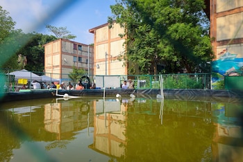 La FAO El Salvador acompañó la inauguración del cultivo de tilapia, impulsando la diversificación y autosostenibilidad en la colonia IVU. (Cortesía: Dirección de Reconstrucción Del Tejido Social )