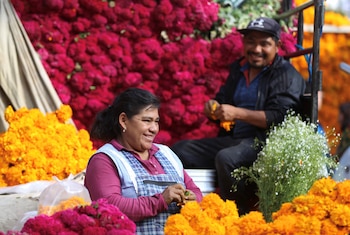 Venta de cempasúchil en la CDMX. REUTERS/Camille Ayral
