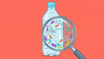 Por qué los expertos no recomiendan rellenar botellas de plástico descartables
