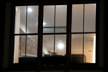 La ansiedad no la sufren