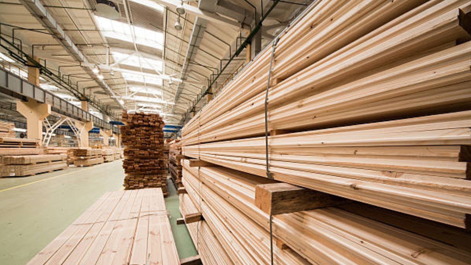 Algún “desvío de comercio” podría favorecer a la Argentina, en la medida que EE.UU. supla provisión brasileña de madera y productos forestales y carne, estimó Jorge Vasconcelos