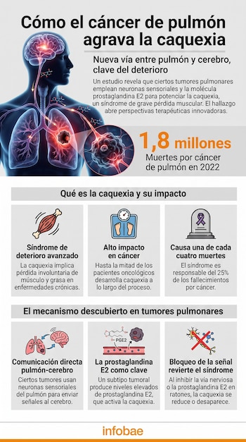 Infografía con figura humana, cerebro, pulmones, sistema nervioso, neuronas, tumor, molécula PGE2, iconos de músculo y balanza, texto y datos de mortalidad.