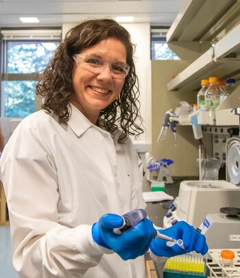 Imagen KIPHXW36J5DGZLHRLJUV6UUXGE