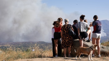 Última hora de los incendios en España y la emergencia nacional, en directo | Los fuegos en Madrid y Ávila se unen y pasan a tratarse como uno solo