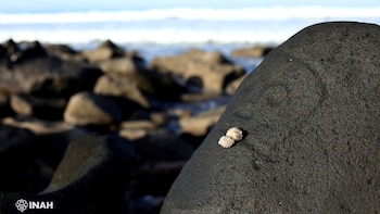 Foto del día: cómo es