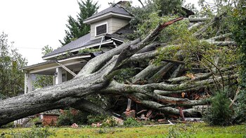 Two grandparents died hugging each other when a giant tree fell on their house during Hurricane Helene Two grandparents died hugging each other when a giant tree fell on their house during Hurricane Helene