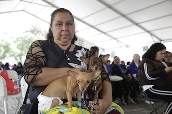 Durante la jornada no emplearán