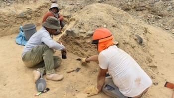Quebrada del Oso revela el