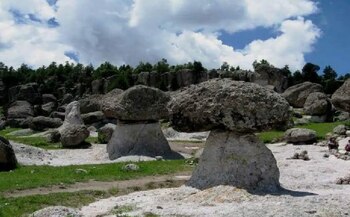 Valle de los Hongos 1 de febrero 2024