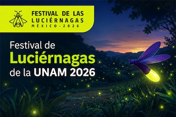 (UNAM_MX)