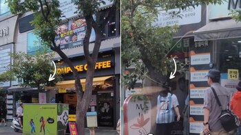 Flor y Jiwon capturaron un