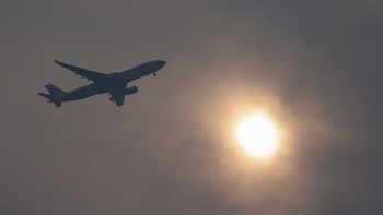 ¿Comprar arte o salvar el planeta? El mercado enfrenta el desafío de reducir su huella de carbono