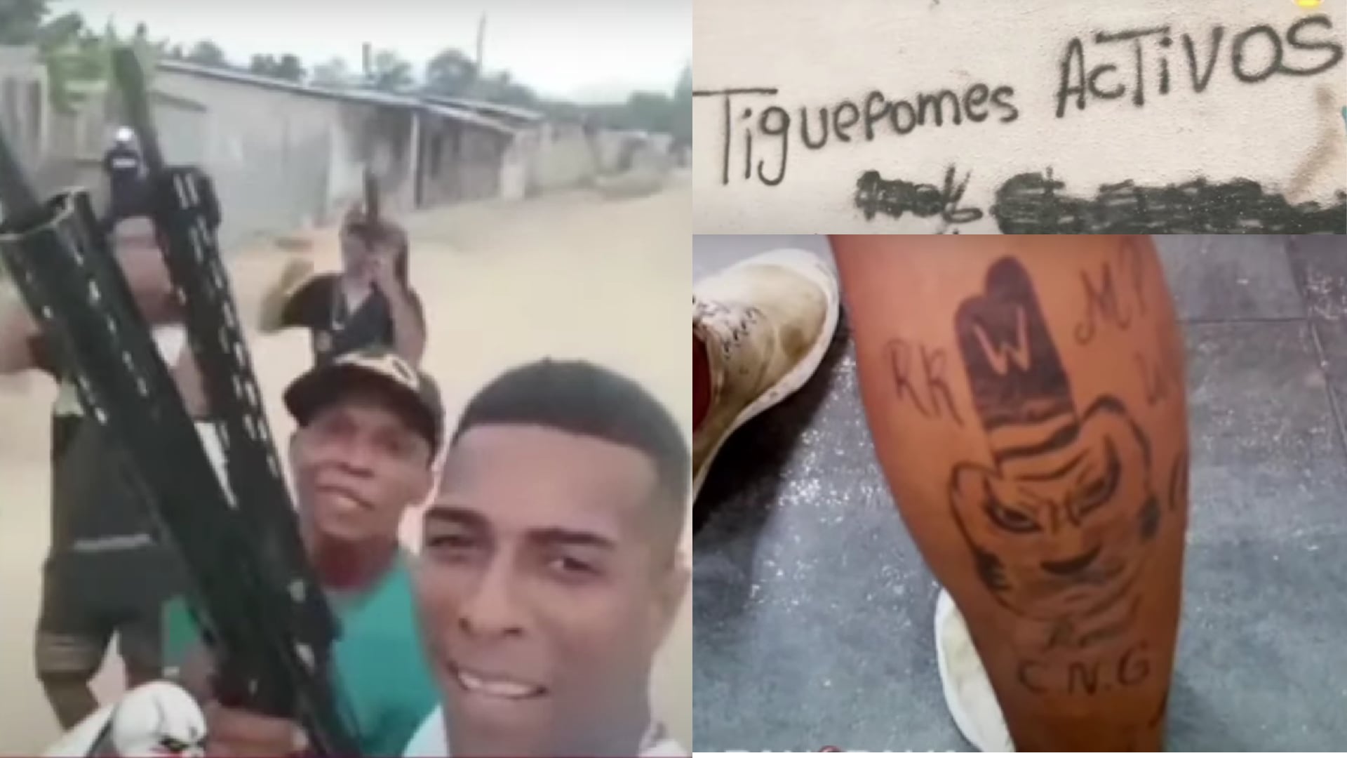 La organización criminal ecuatoriana “Los Tiguerones” ha extendido sus actividades ilícitas hacia el norte de Perú, especialmente en el tráfico de cocaína, lo que pone en alerta a las autoridades peruanas. (Composición: Infobae/ captura de pantalla)