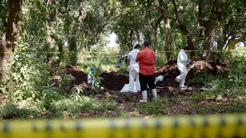 “Estados minimizan y ocultan desapariciones