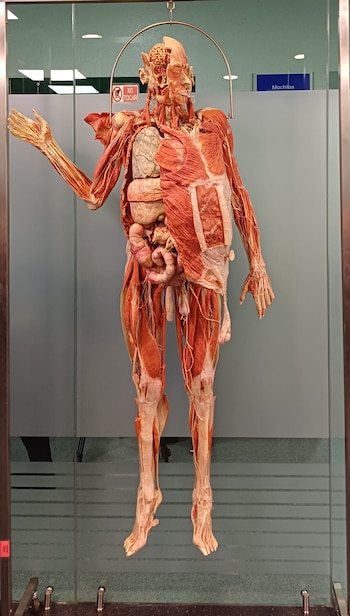 La necroteca de la Universidad