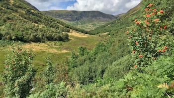 Carrifran, el valle escocés donde se han replantado 750.000 árboles nativos en 26 años gracias a un arco de caza del Neolítico que guio la transformación histórica