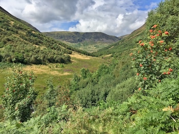 El valle de Carrifran en la actualidad. (Borders Forest Trust)