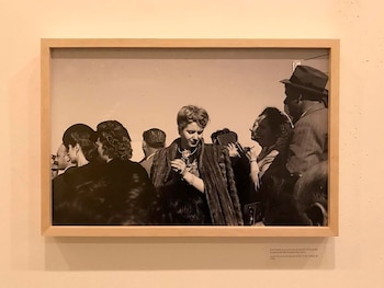 El maravilloso ojo fotográfico de