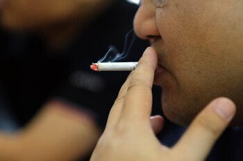 En cuanto a sus causas,