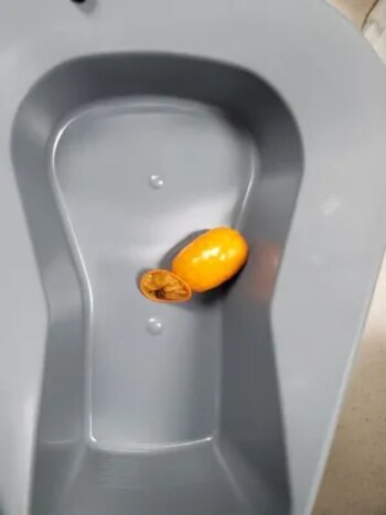 Fentanilo decomisado en la frontera