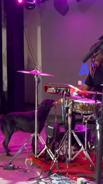 El emotivo encuentro entre Nandinho