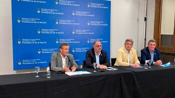 Tres de las cuatro entidades