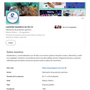 Perfiles de las empresas de