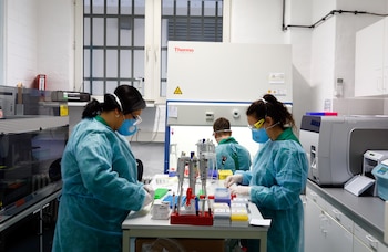 En la Argentina, según cifras