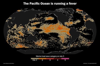 Mapa mundial con océanos negros y continentes grises, áreas coloreadas de olas de calor marinas (categorías 1-5), y una leyenda con la escala de color