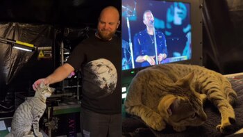 Las redes inundaron comentarios sobre