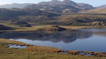 El milenario tesoro inca que